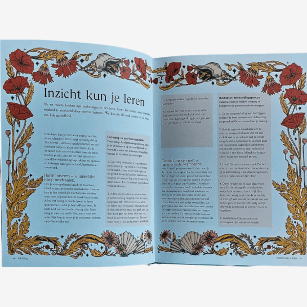 Handboek Waarzeggerij - Afbeelding 3